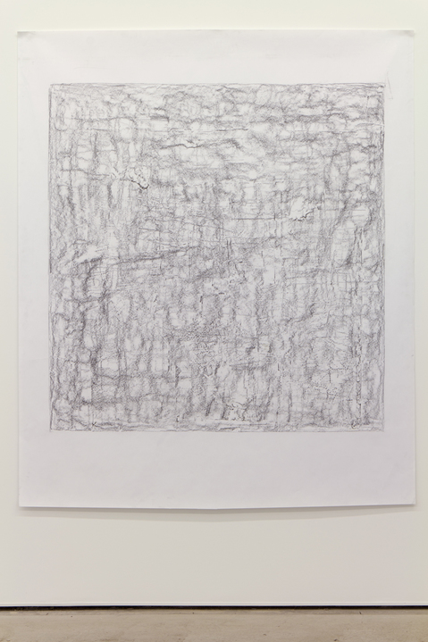 JESSICA DICKINSON final remainders: 2011-2013 > David Petersen Gallery > 2013 graphite on paper 