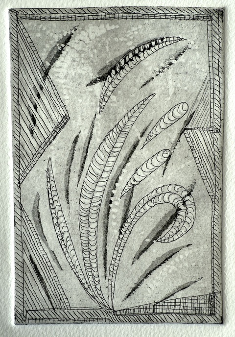 Jessica Snow Printmaking Hard-ground etching with aquatint