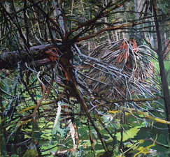 Jill Eggers Paintings Oil on canvas