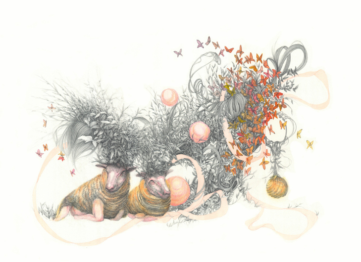 Jillian Dickson  Color Pencil, Gouache, Charcoal Drawings: "ETHICAL FARMING" 2010 - Present Graphite, Gouache, Color Pencil on Paper