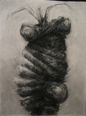 Jillian Dickson  Charcoal Drawings: "TUMORS, PLANTS"  Charcoal