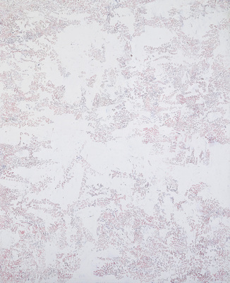 jennifer leigh caine Paintings - Imprint Series Oil on canvas