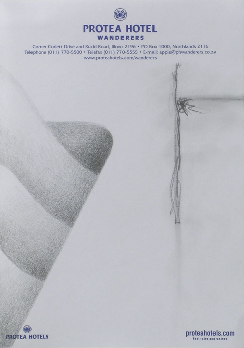 Protea Wanderer, Johannesburg, South Africa Hotel Stationery Drawings Graphite on Paper