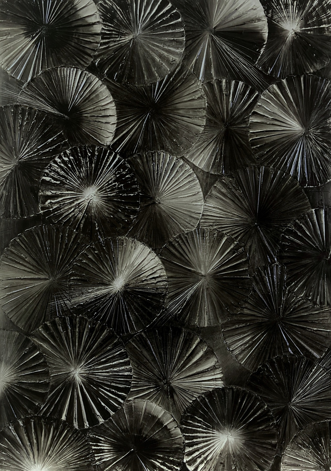 JOHN MENDELSOHN Black Color Wheel  