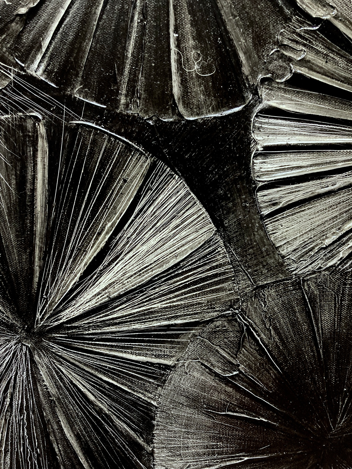 JOHN MENDELSOHN Black Color Wheel  