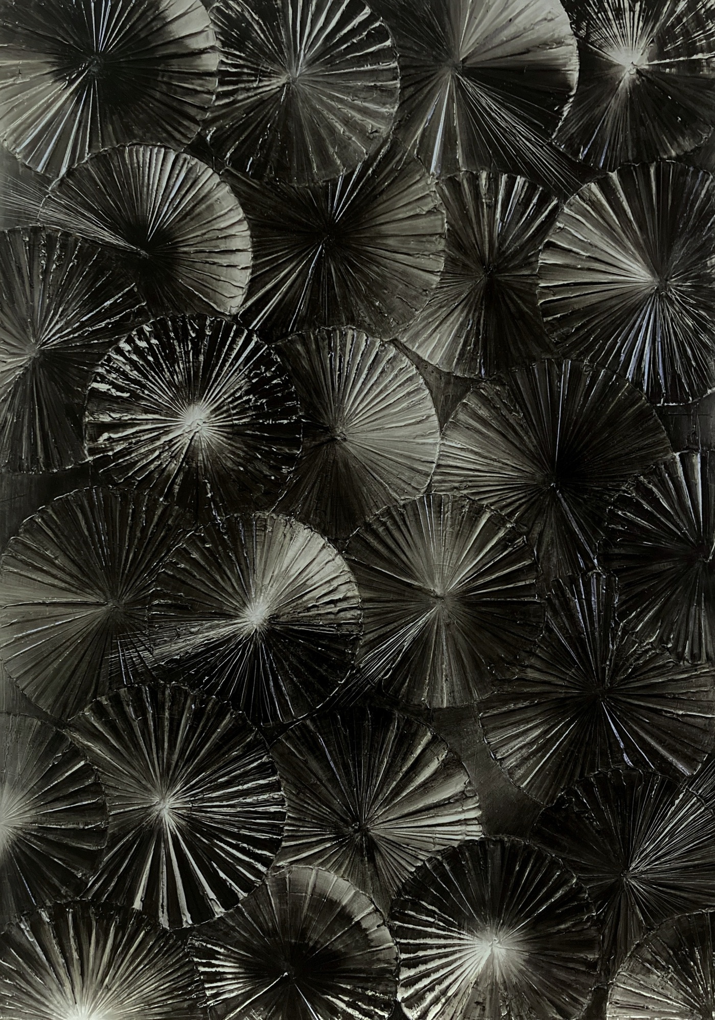 JOHN MENDELSOHN Black Color Wheel 