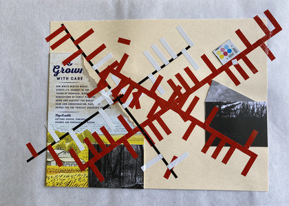 John T Adams Quarantine Projects - Volume 2 Photographs, found objects and vinyl tape.