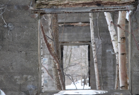 Joscelyn Jurich Photography:  Abandoned Catskills 