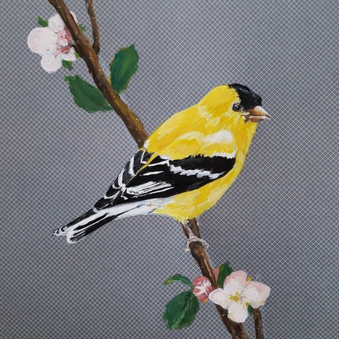 Joseph Borzotta Birds Acrylic on paper