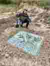 Carousel artwork image 713