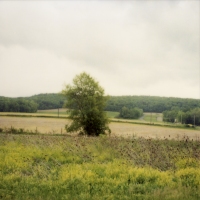 joy woodward photographs 
