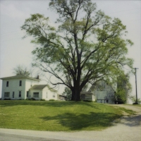 joy woodward photographs 