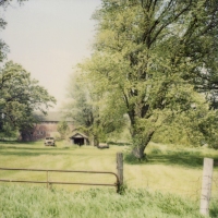joy woodward photographs 