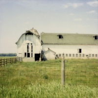 joy woodward photographs 