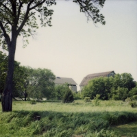 joy woodward photographs 