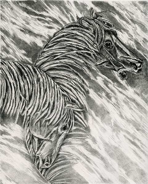 Feathers and Tails Additional works Stone Lithography