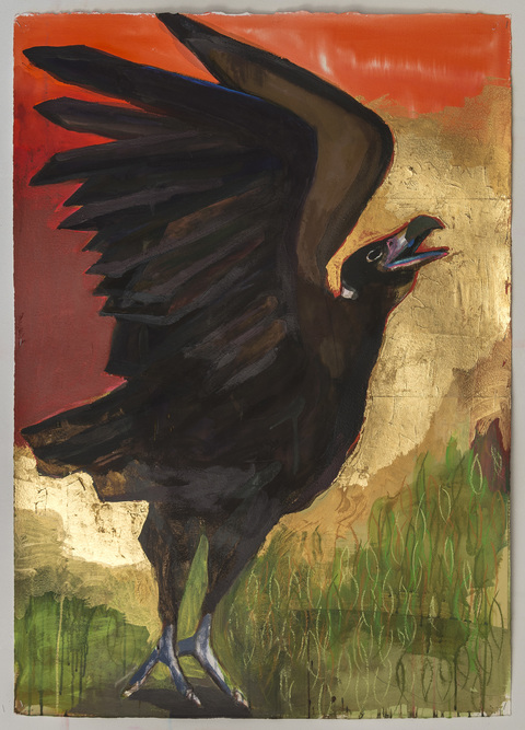 Old World Vulture II