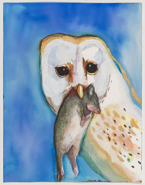 Owl with Field Mouse 