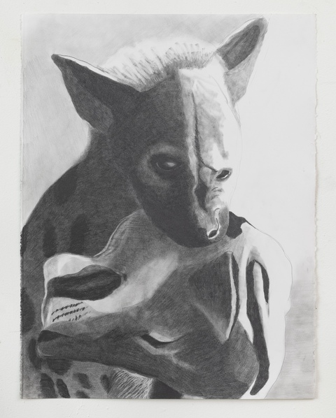 Karsen (Karen) Heagle RECENT graphite on paper