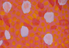 Carousel artwork image 63