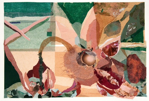 Late Bloomer COLLAGES Collage and Mixed Media