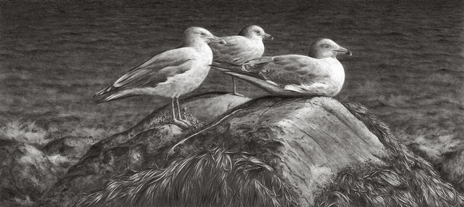 KARIE O'DONNELL Drawings 