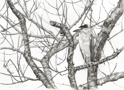 KARIE O'DONNELL Drawings 