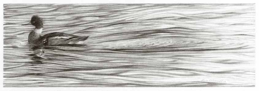 KARIE O'DONNELL Drawings 