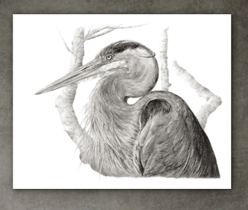 KARIE O'DONNELL Canvas Prints 