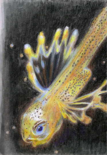 13.  Juvenile Fish