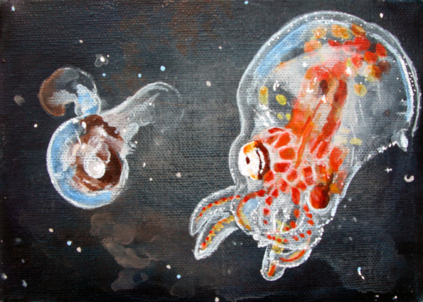 Pteropod and Octopus