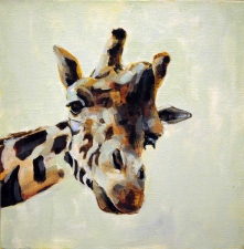 KATHY FEIGHERY Animal Series Oil and Acrylic on Canvas
