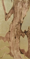 Kathy Hirshon <i>Spirited Trees</i> Series mixed media on wood
