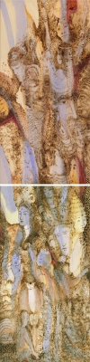 Kathy Hirshon <i>Spirited Trees</i> Series mixed media on wood