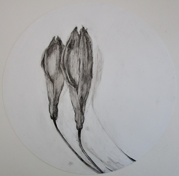Kathy Moss work on paper charcoal and graphite on yupo polypropylene