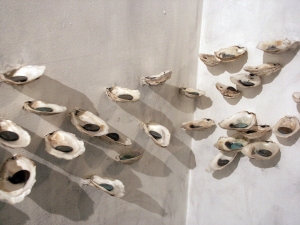 Katie Rubright 2013-2009 oyster shells, pennies, tin cans, agar plates