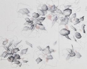 Katlin Evans Drawings graphite on dura-lar with color pencil