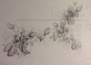 Katlin Evans Drawings graphite on dura-lar