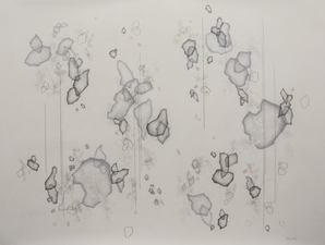 Katlin Evans Drawings Graphite on Dura-Lar