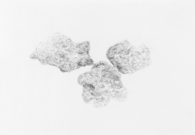 Katrina Bello Grasp/Gasp Series graphite on paper