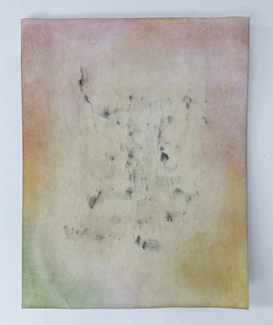 Katrina Bello Barkscapes Series pastel on paper