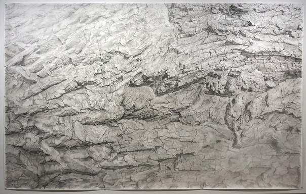 Katrina Bello Large Drawings charcoal and pastel on paper