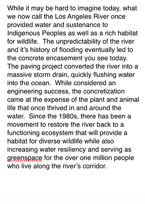 KATY KRANTZ HEADWATERS 