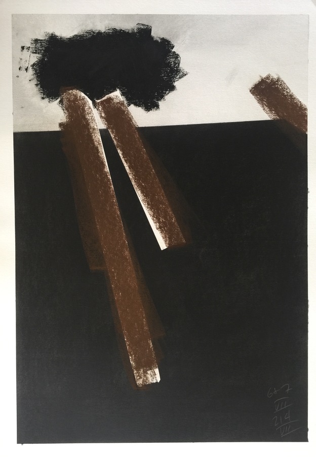 Kenneth Jaworski Selected Recent Works | 2016-Present Charcoal, Siberian Chalk, pastel and graphite on paper