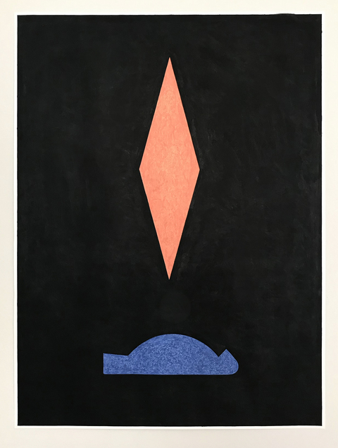 Ken Weathersby Bird Paintings 2025-2026 acrylic & graphite on paper