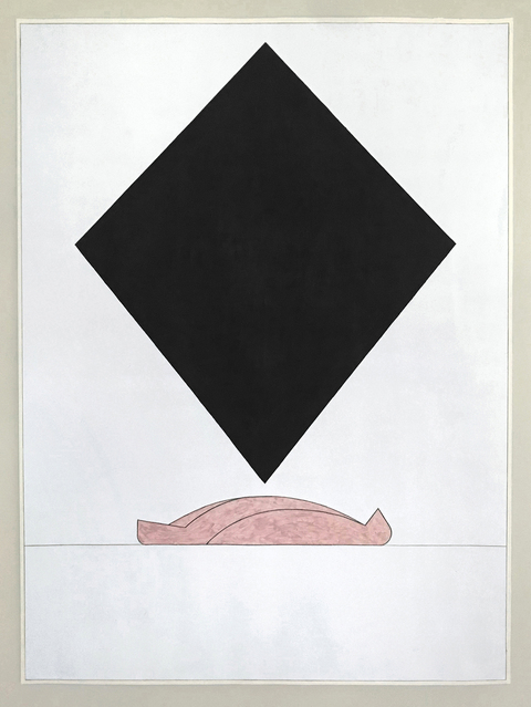 Ken Weathersby Bird Paintings 2025-2026 acrylic & graphite on paper