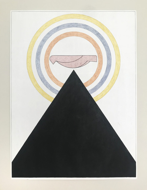 Ken Weathersby Bird Paintings 2025-2026 acrylic & graphite on paper