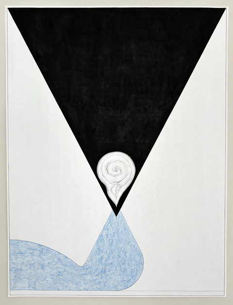 Ken Weathersby Bird Paintings 2025-2026 acrylic & graphite on paper