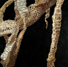 Kevin Klein Snakes oil on canvas