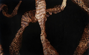 Kevin Klein Snakes acrylic on canvas